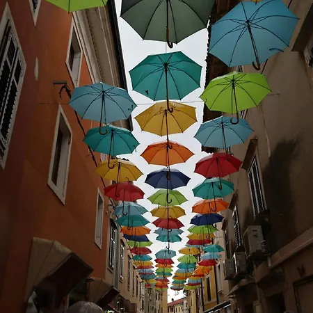 Grgic By Interhome * Novigrad Istria